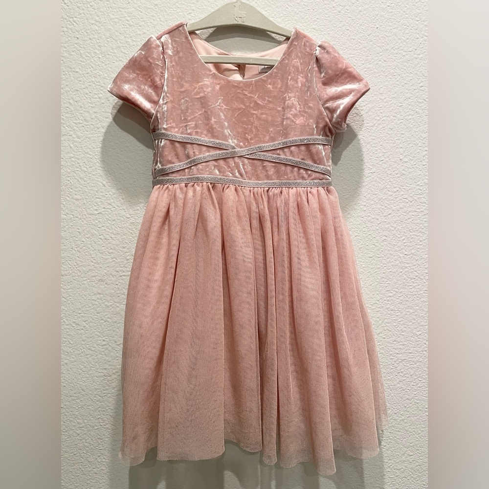 Children’s Place Velvet Tulle Dress